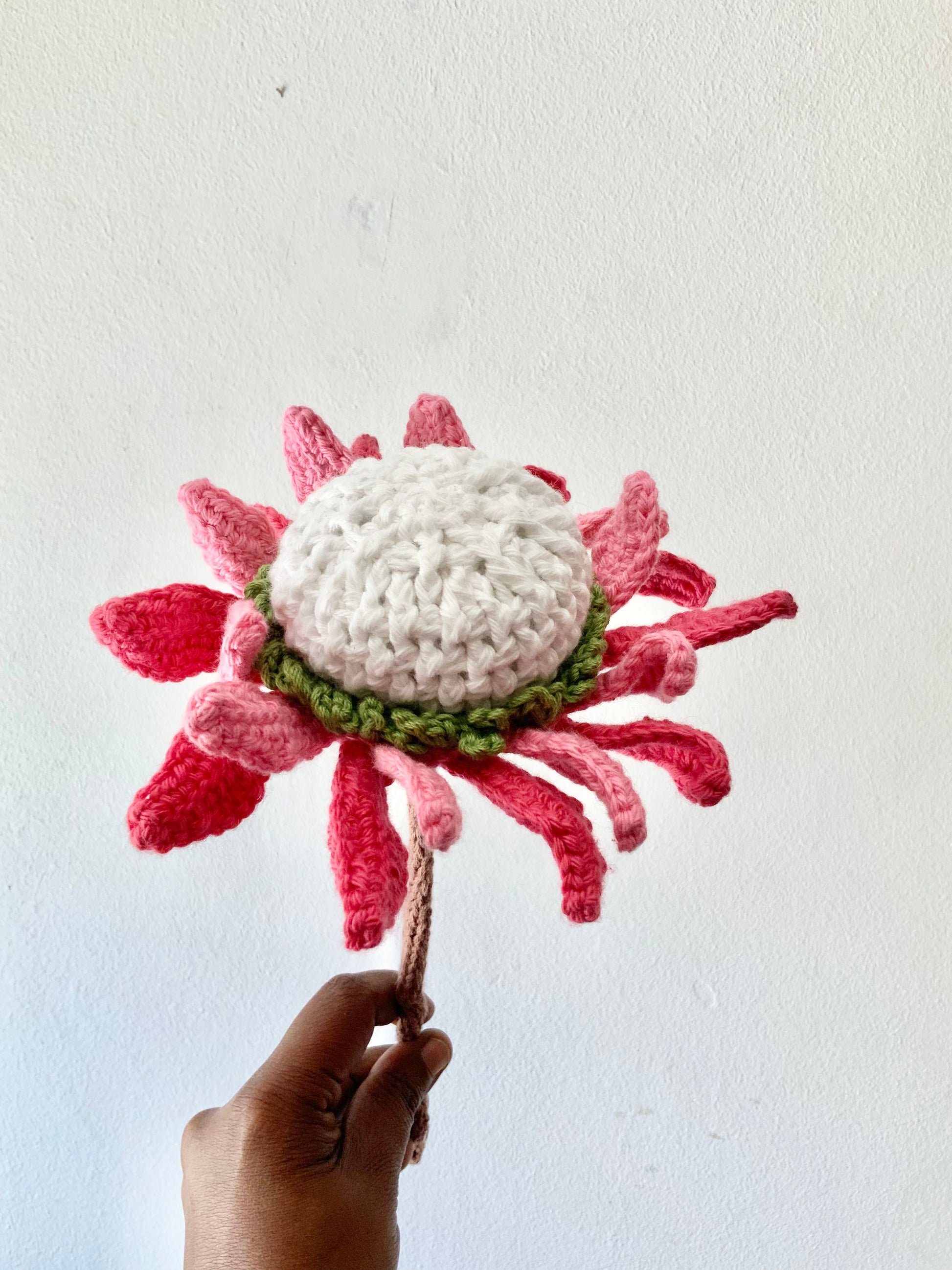 No Sew King Protea Crochet Pattern Pattern 3Stitches
