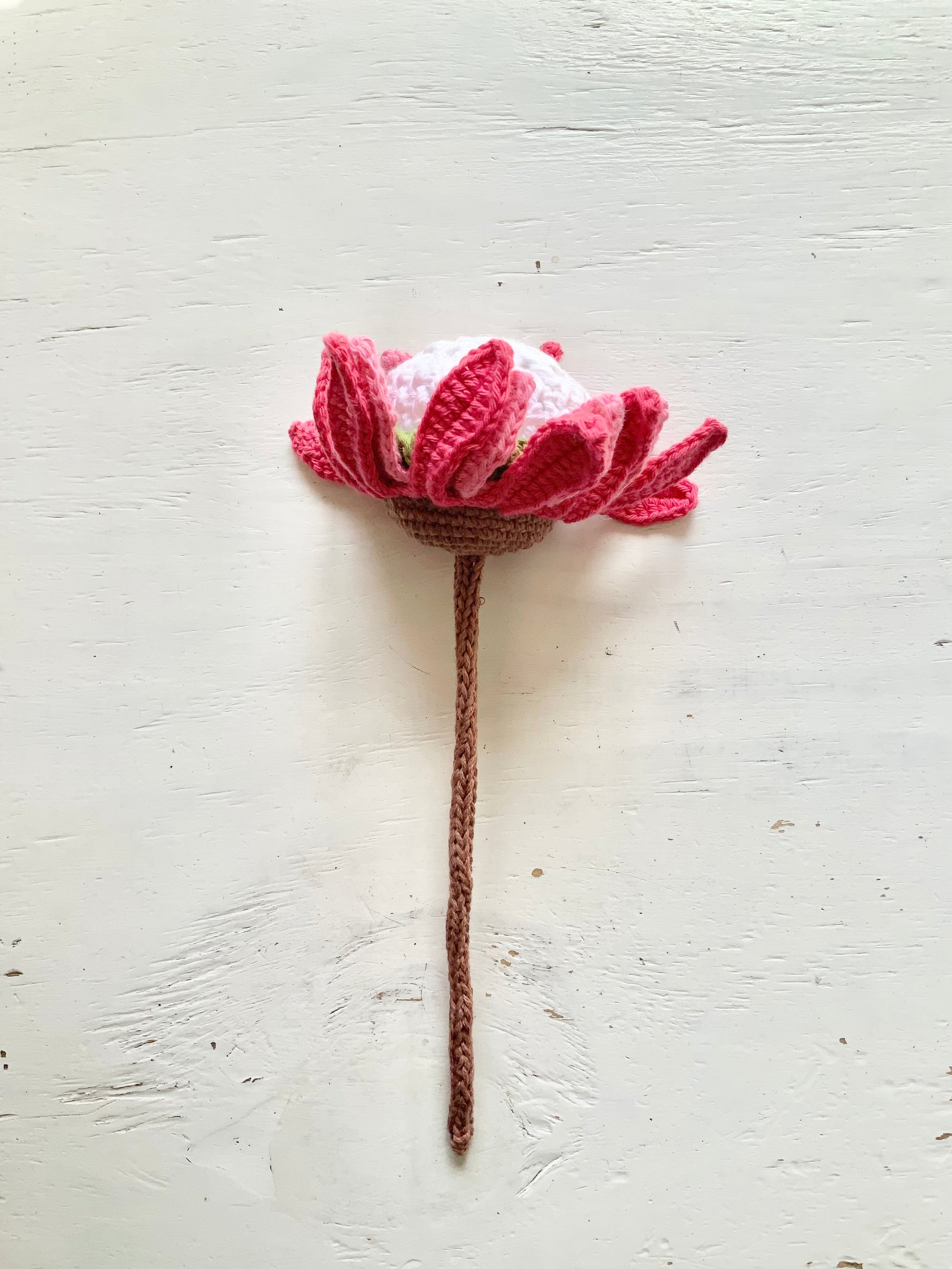No Sew King Protea Crochet Pattern Pattern 3Stitches