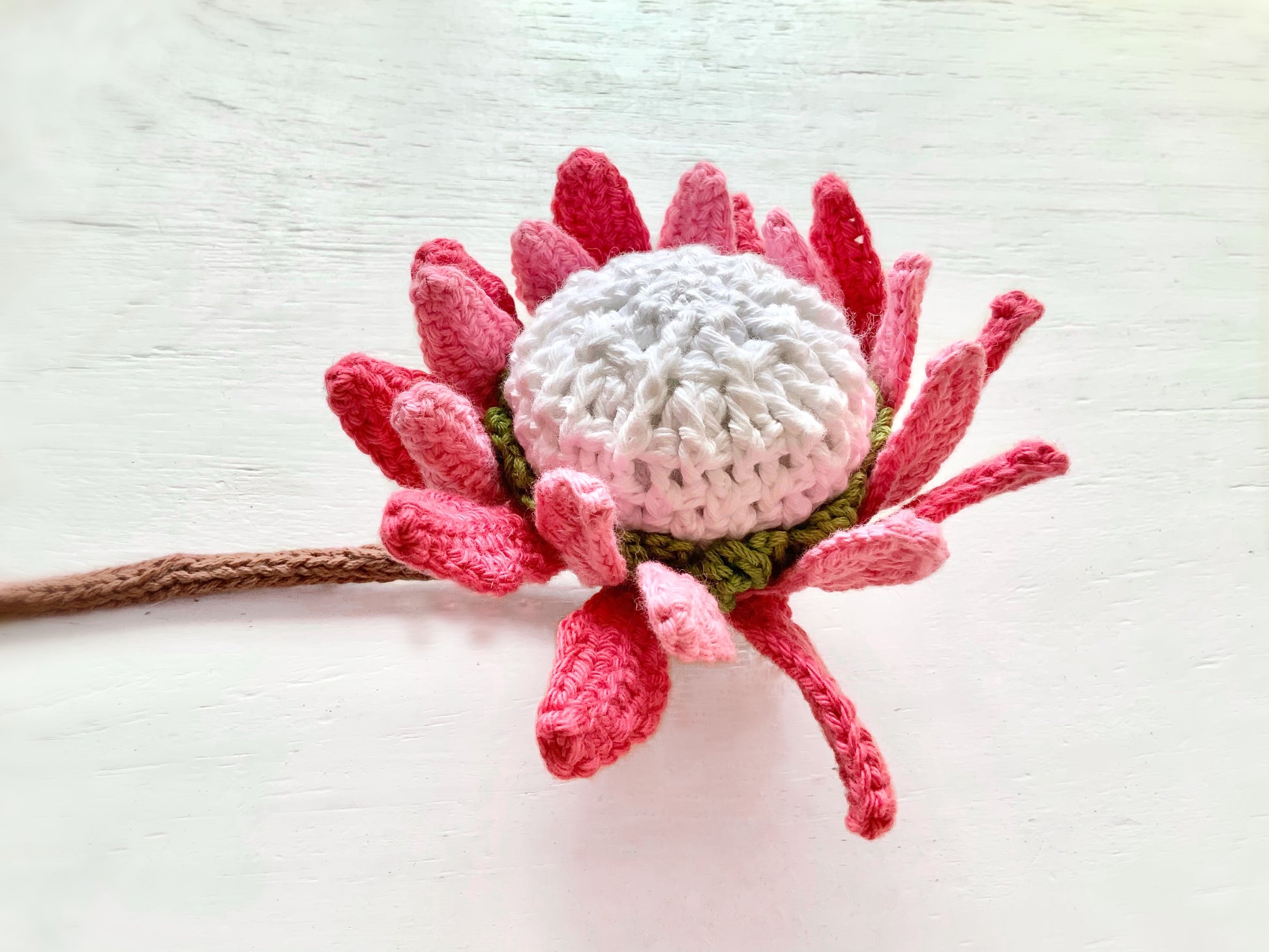No Sew King Protea Crochet Pattern Pattern 3Stitches