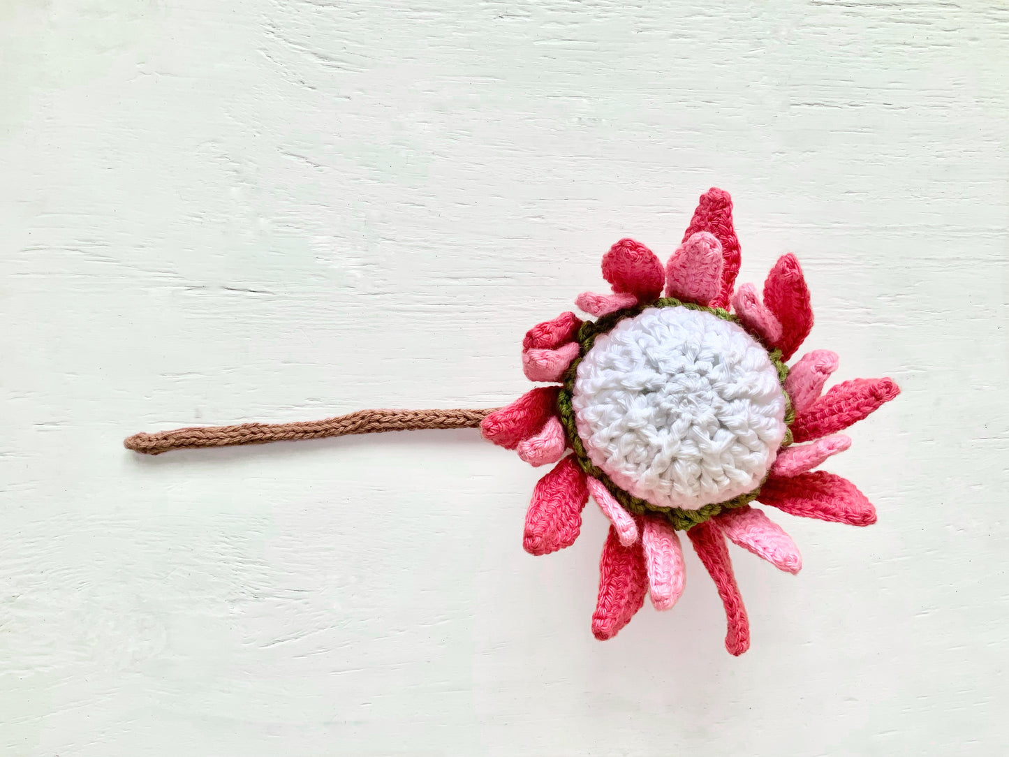 No Sew King Protea Crochet Pattern Pattern 3Stitches