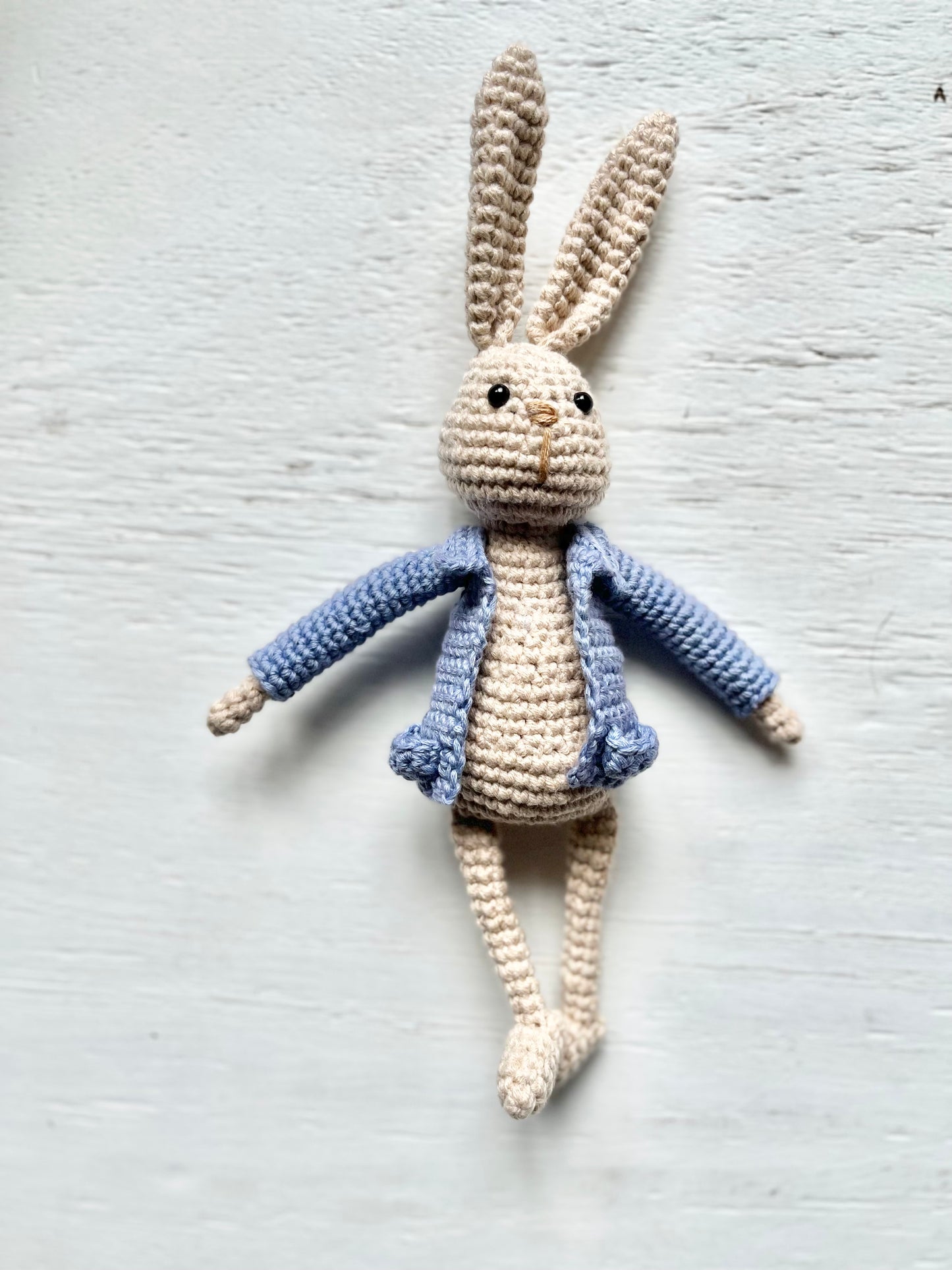 No Sew Peter Rabbit Reading Buddy Crochet Pattern Pattern 3Stitches