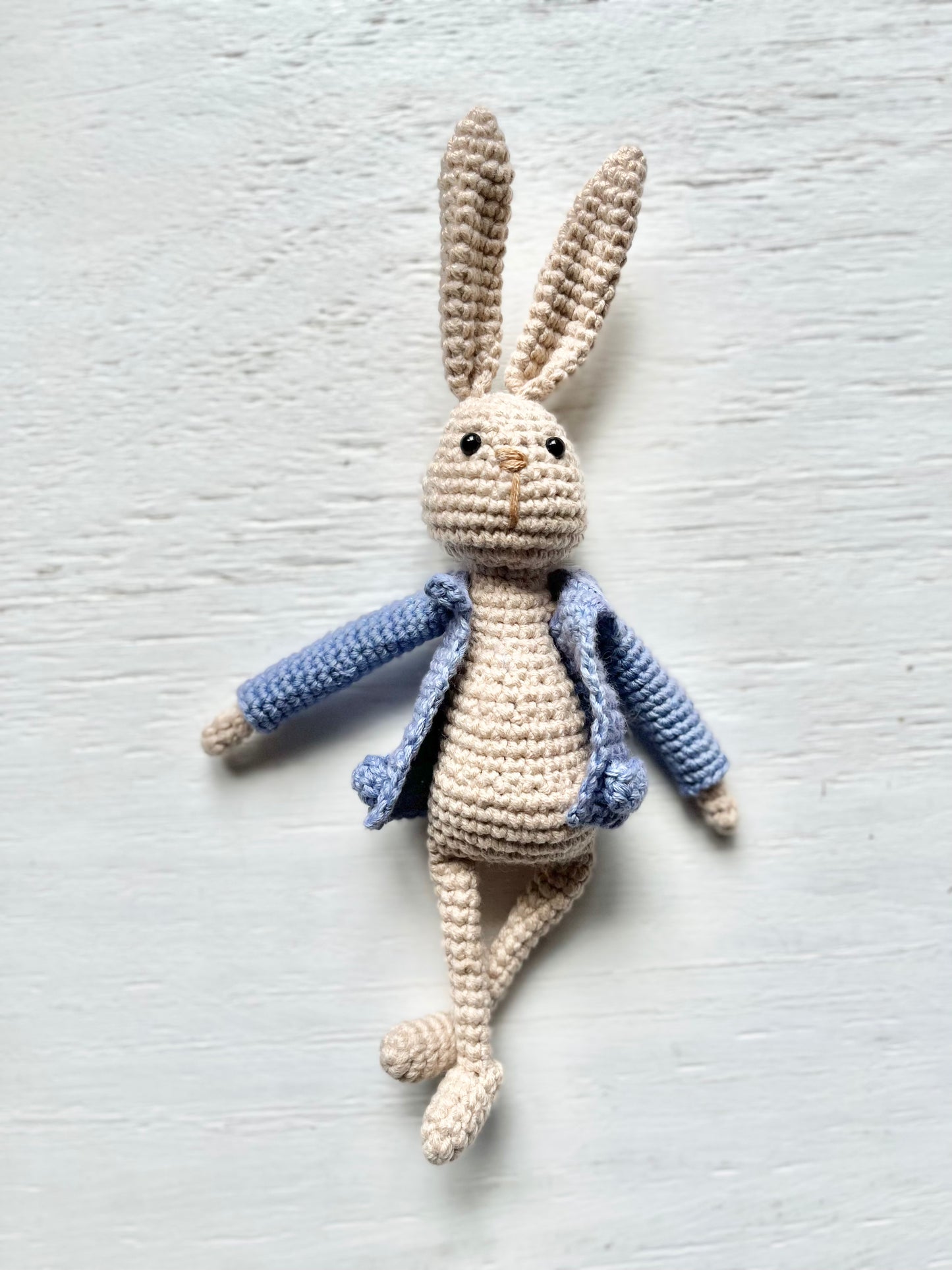 No Sew Peter Rabbit Reading Buddy Crochet Pattern Pattern 3Stitches