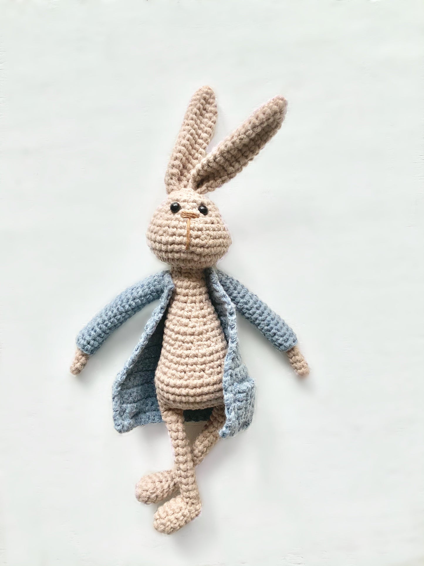 Peter Rabbit Reading Buddy Toy 3Stitches Blue Coat