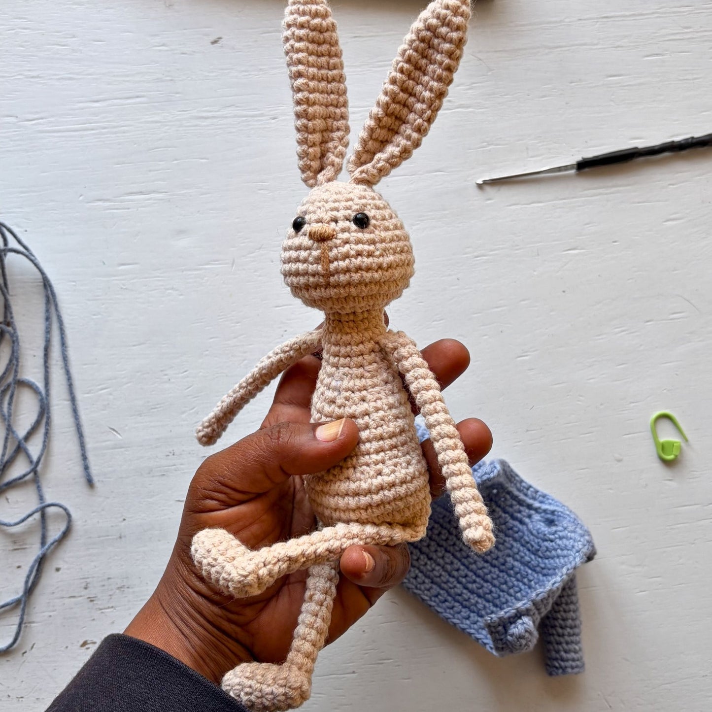 Peter Rabbit Reading Buddy Crochet Pattern
