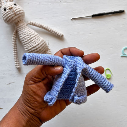 Peter Rabbit Reading Buddy Crochet Pattern