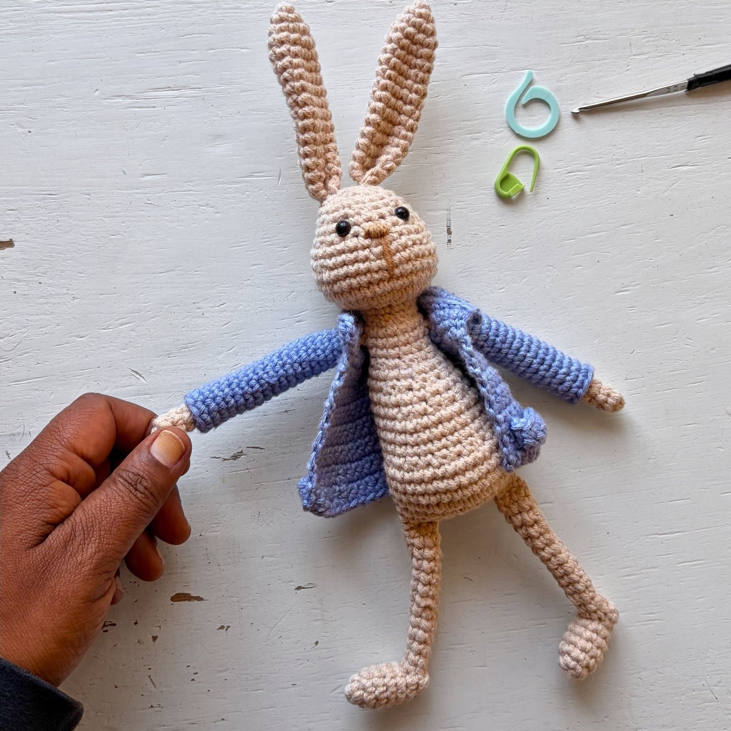 Peter Rabbit Reading Buddy Crochet Pattern