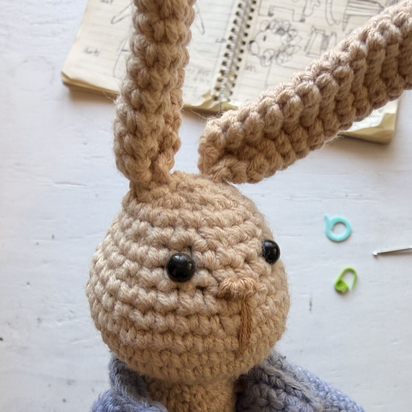 Peter Rabbit Reading Buddy Crochet Pattern