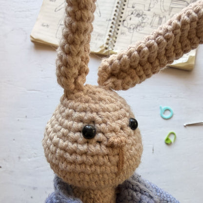 Peter Rabbit Reading Buddy Crochet Pattern
