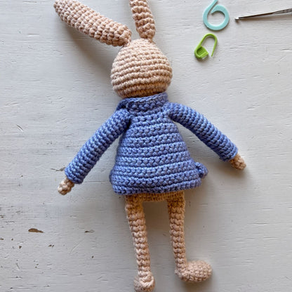 Peter Rabbit Reading Buddy Crochet Pattern