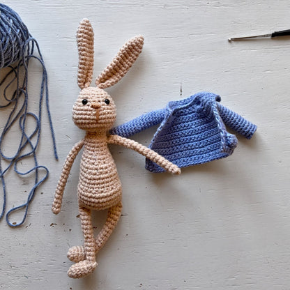 Peter Rabbit Reading Buddy Crochet Pattern